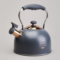 Чайник agness со свистком 2,5 л,нжс индукция (914-161)