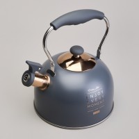 Чайник agness со свистком 2,5 л,нжс индукция (914-161)