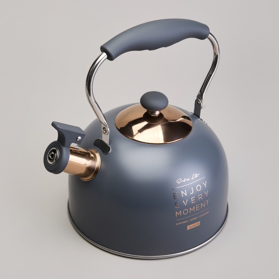 Чайник agness со свистком 2,5 л,нжс индукция (914-161)