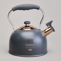 Чайник agness со свистком 2,5 л,нжс индукция (914-161)