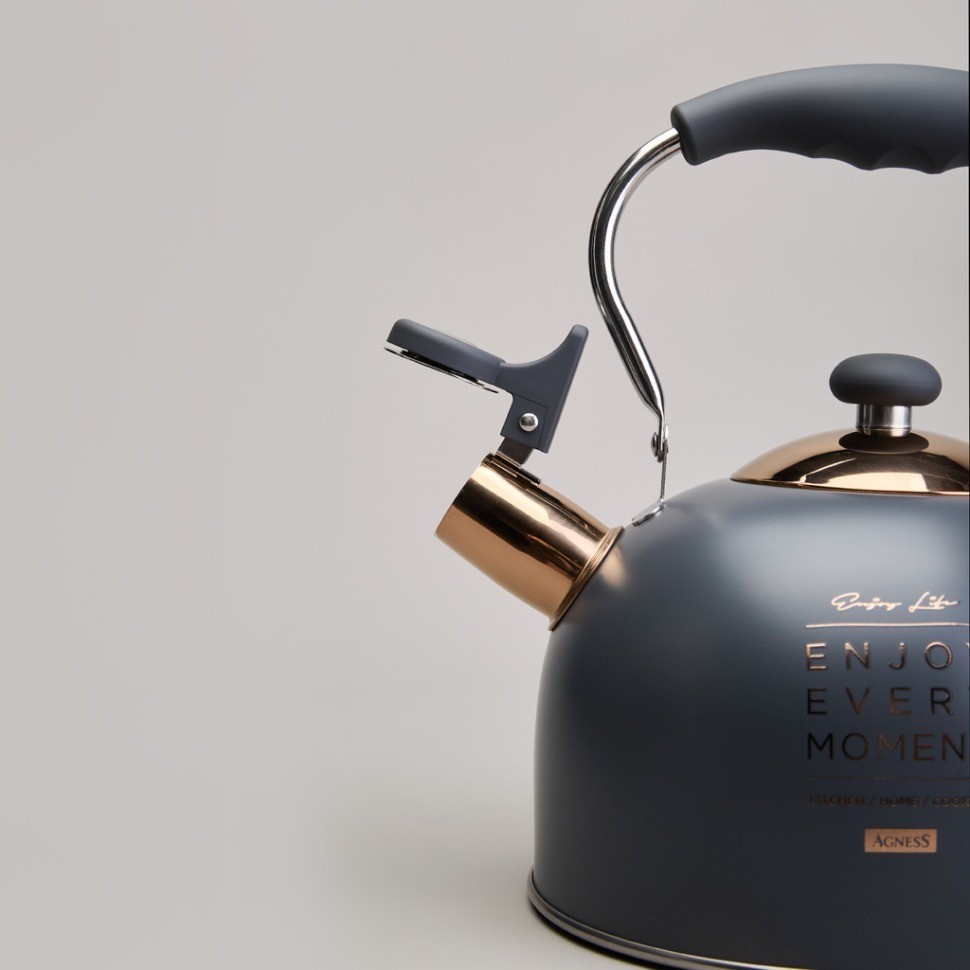 Чайник agness со свистком 2,5 л,нжс индукция (914-161)