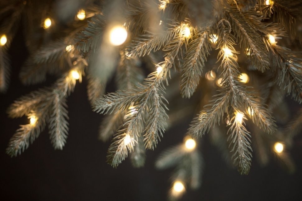 Ель леара 185 см 700 ламп серебристая (74451)