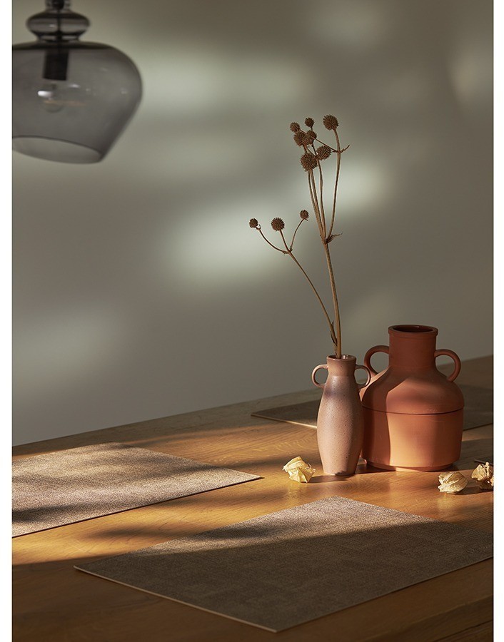 Набор из 2-х сервировочных салфеток leanera, 30х45 см, песочные (76977)