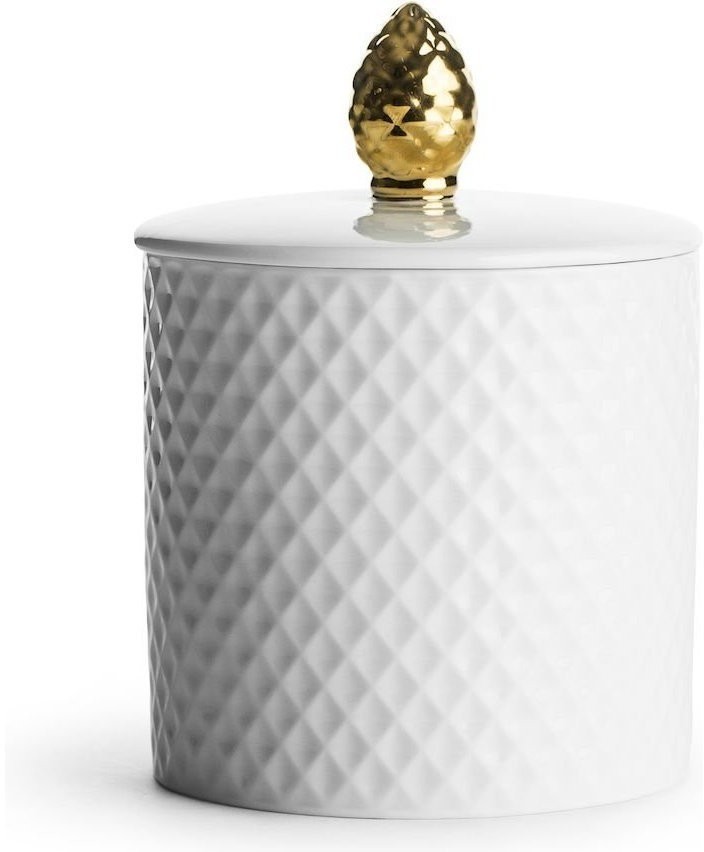 SagaForm Ёмкость для хранения "Шишка" 5017872