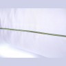 Подушка средняя из Фитолинии с саше Natura Sanat Мята Антистресс 50х70 МА-П-13-2 (89217)