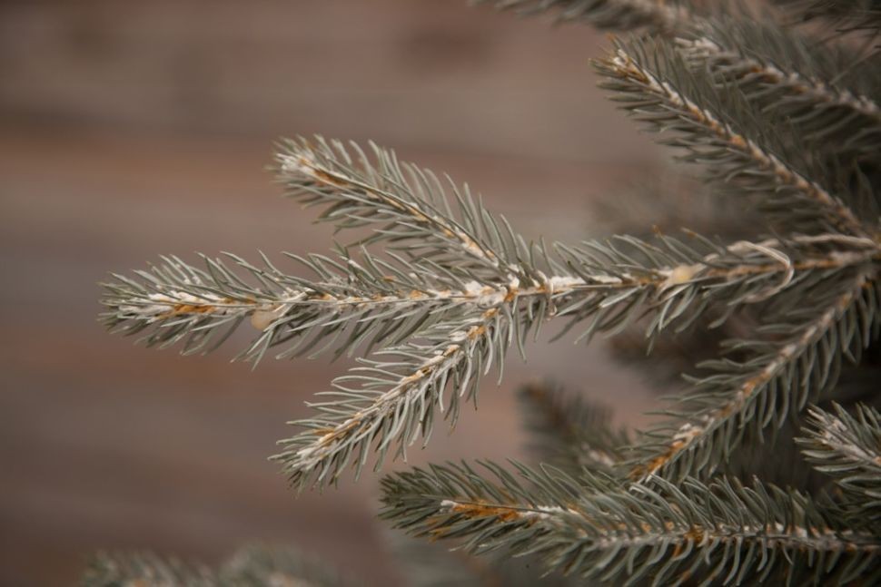 Ель леара 230 см 1100 ламп серебристая (74452)