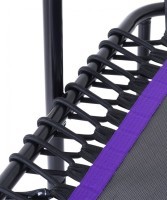 БЕЗ УПАКОВКИ Батут TR-401 101 см с держателем, фиолетовый (2102692)