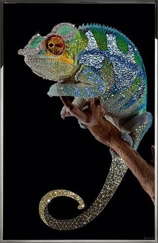 Картина Хамелеон с кристаллами Swarovski (2367)
