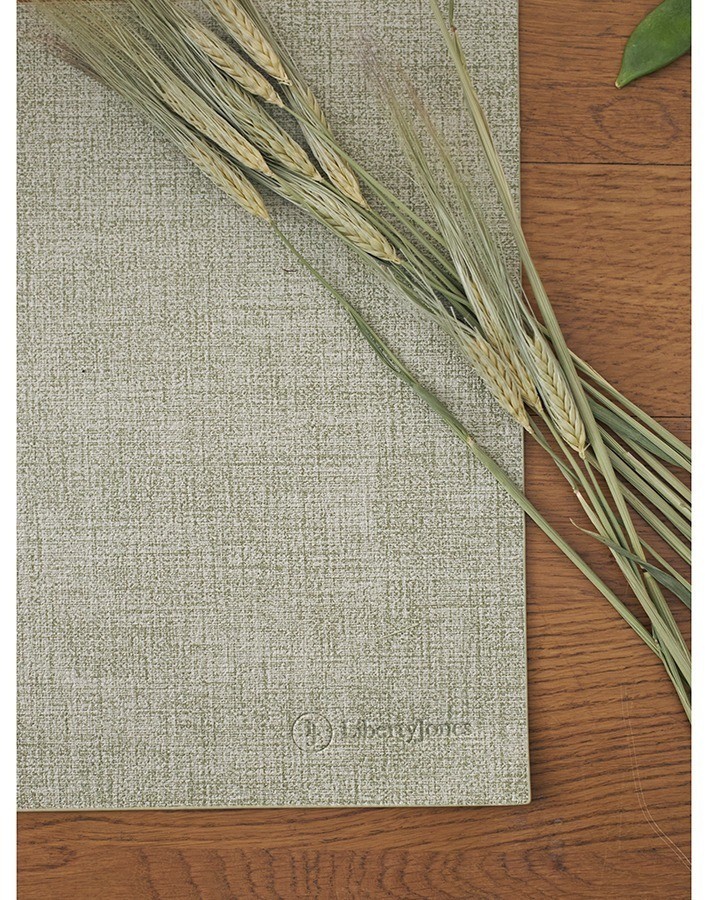 Набор из 2-х сервировочных салфеток leanera, 30х45 см, мятные (76976)