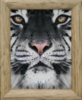 Картина Желтые глаза с кристаллами Swarovski (1585)