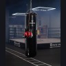 Мешок боксерский INSANE PRO PUNCH, 170 см, 70 кг, тент, черный (2120403)