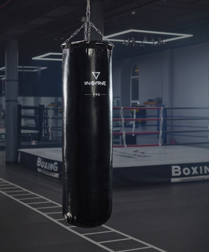 Мешок боксерский INSANE PRO PUNCH, 170 см, 70 кг, тент, черный (2120403)