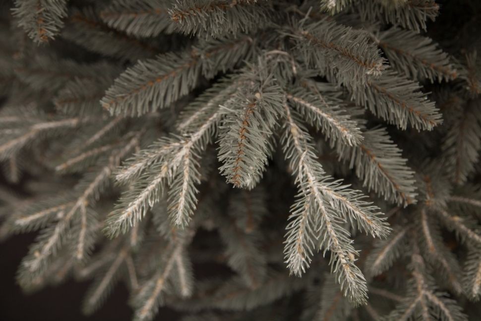 Ель леара 215 см 1000 ламп серебристая (74434)