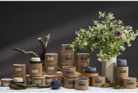 Свеча ароматическая spicy snowflakes из коллекции edge, синий, 30 ч (75667)