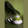 Контейнер для хранения ватных палочек lotus, белый/зеленый (42646)