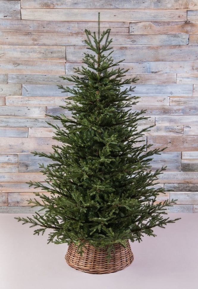 Ель французская 100% литая 155 см зеленая (74440)