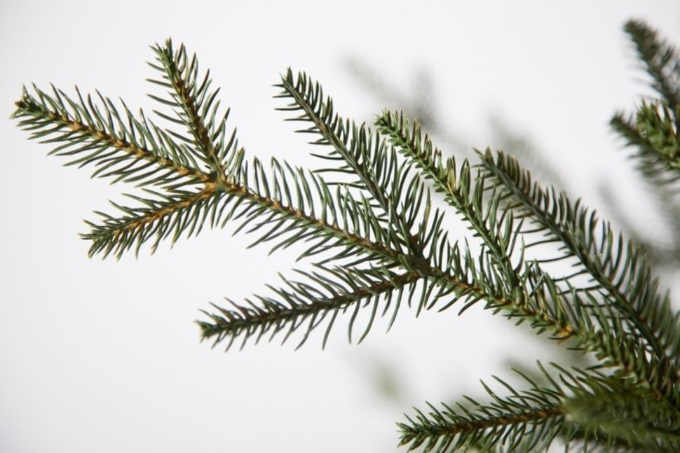 Ель французская 100% литая 155 см зеленая (74440)