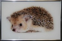 Картина Ежик с кристаллами Swarovski (1560)