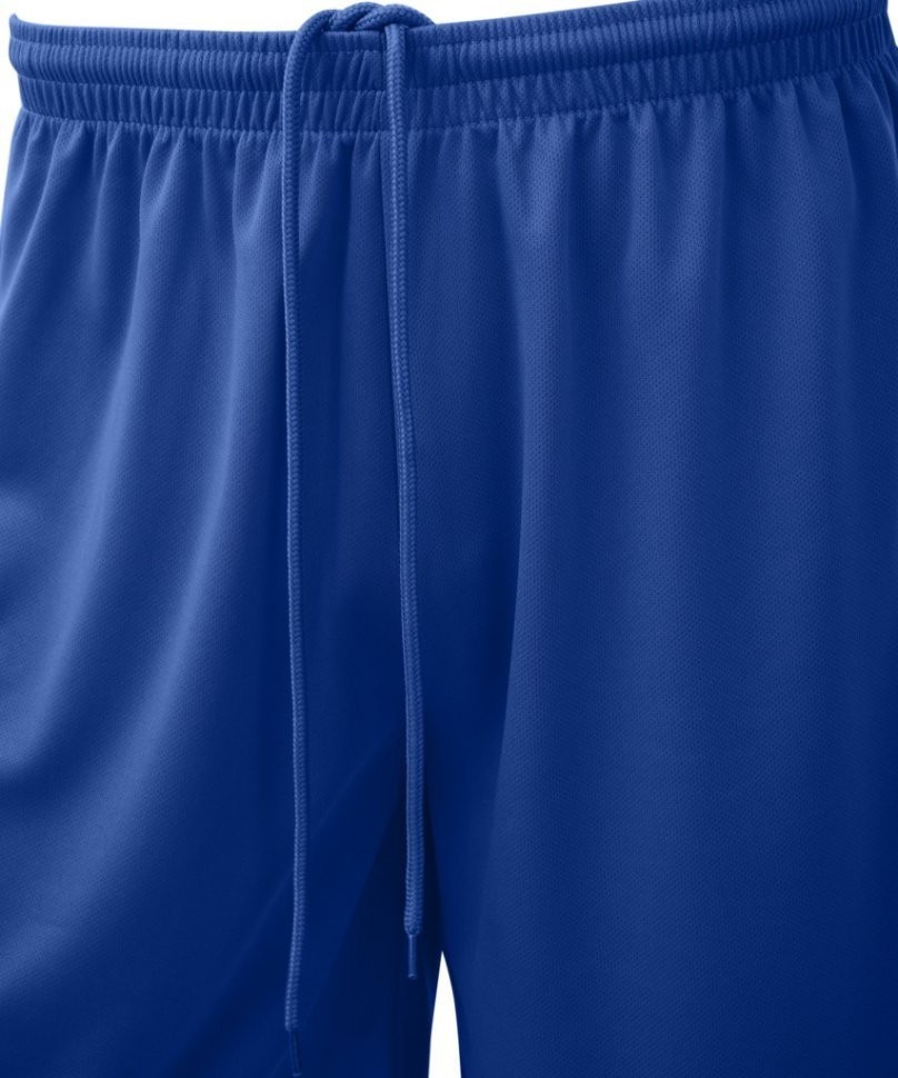 Шорты баскетбольные Camp Basic, синий (1619608)