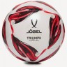 Мяч футбольный Triumph Club №4 (2118980)