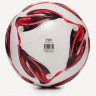 Мяч футбольный Triumph Club №4 (2118980)