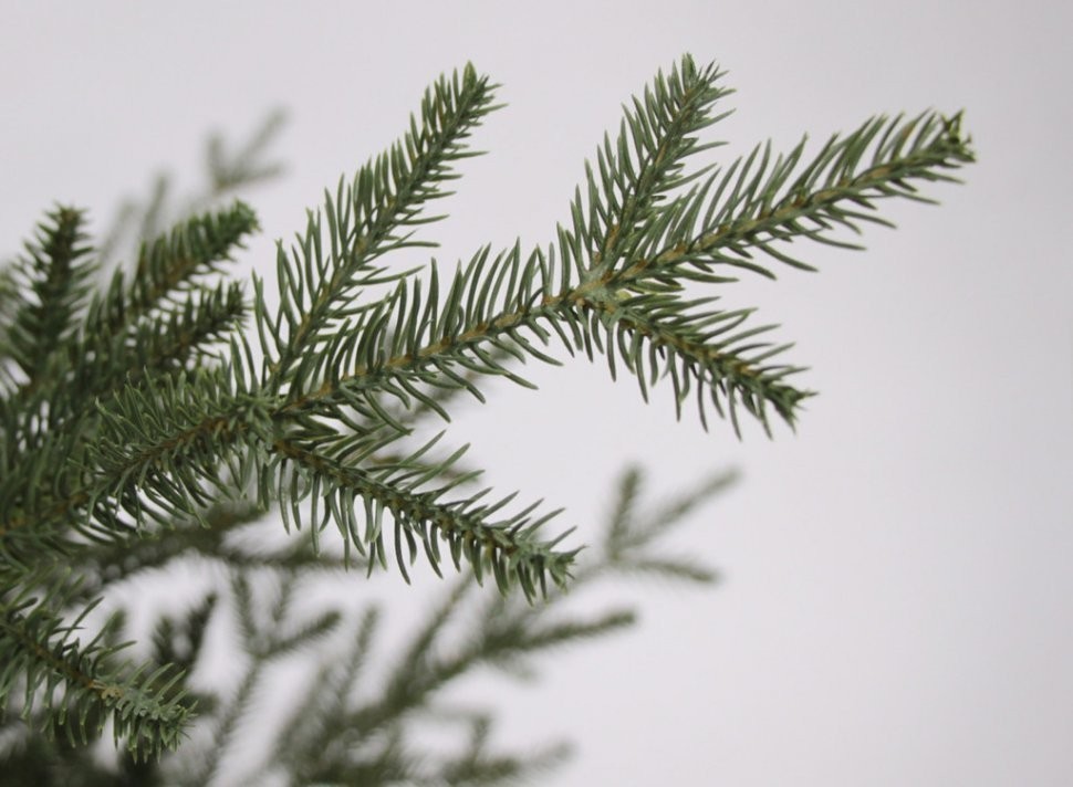 Ель французская 100% литая 215 см зеленая (74442)