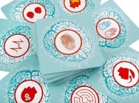 Кортекс (32264)