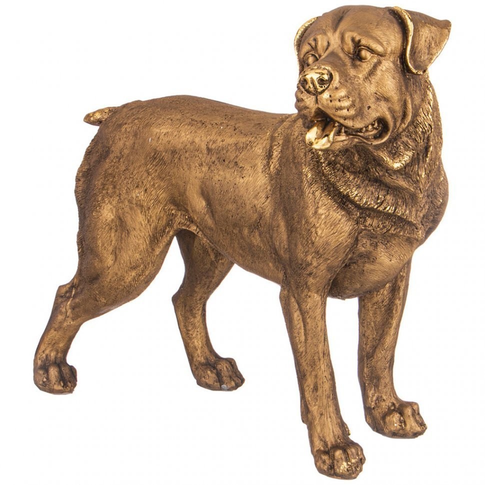 Фигурка декоративная "собака ротвейлер большой стоит" h-37см цвет: бронза с позолотой Lefard (169-887)