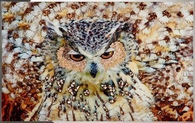 Картина Сова с кристаллами Swarovski (2362)