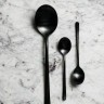 Ложка чайная 2RDU0007, нержавеющая сталь 18/10, PVD, total black, PINTINOX