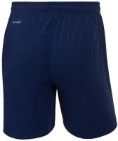 Шорты тренировочные JOGEL NATIONAL PerFormDRY Training Shorts, темно-синий (2110559)