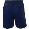Шорты тренировочные JOGEL NATIONAL PerFormDRY Training Shorts, темно-синий (2110559)