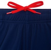 Шорты тренировочные JOGEL NATIONAL PerFormDRY Training Shorts, темно-синий (2110559)