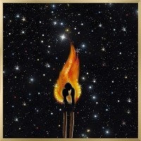 Картина В ОБЪЯТИЯХ ПЛАМЕНИ с кристаллами Swarovski (3166)