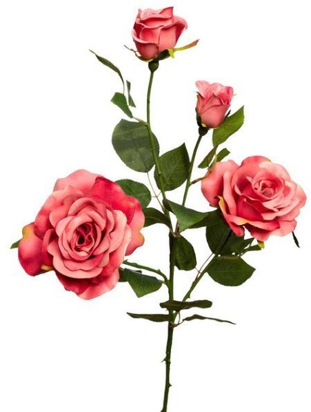 Роза нежно-розовая, 80см (12) (00002902)