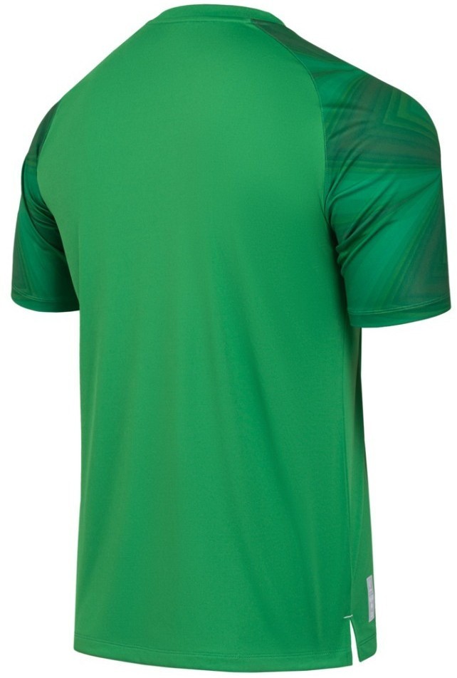 Футболка вратарская JOGEL NATIONAL PerFormDRY GK Jersey, зеленый (2112635)