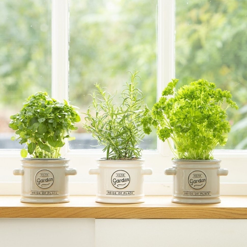 T&G Емкость для хранения малая Pride Of Place White 18089