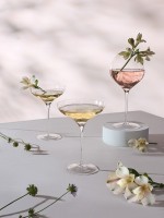 Набор бокалов для вина bloom, 700 мл, 2 шт. (79043)