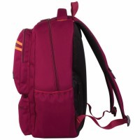 Рюкзак школьный Brauberg Джерси 27 л 226347 (76601)