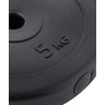 Диск пластиковый BB-203 d=26 мм, черный, 5 кг (1483993)