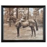 Картина Мальчик на лошади TO-AIPOT392BOHRFTZ, дерево, стекло, mixed, ROOMERS FURNITURE