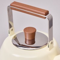 Чайник agness 3,0 л со свистком и складывающейся ручкой, индукционное капсульное дно (937-913)