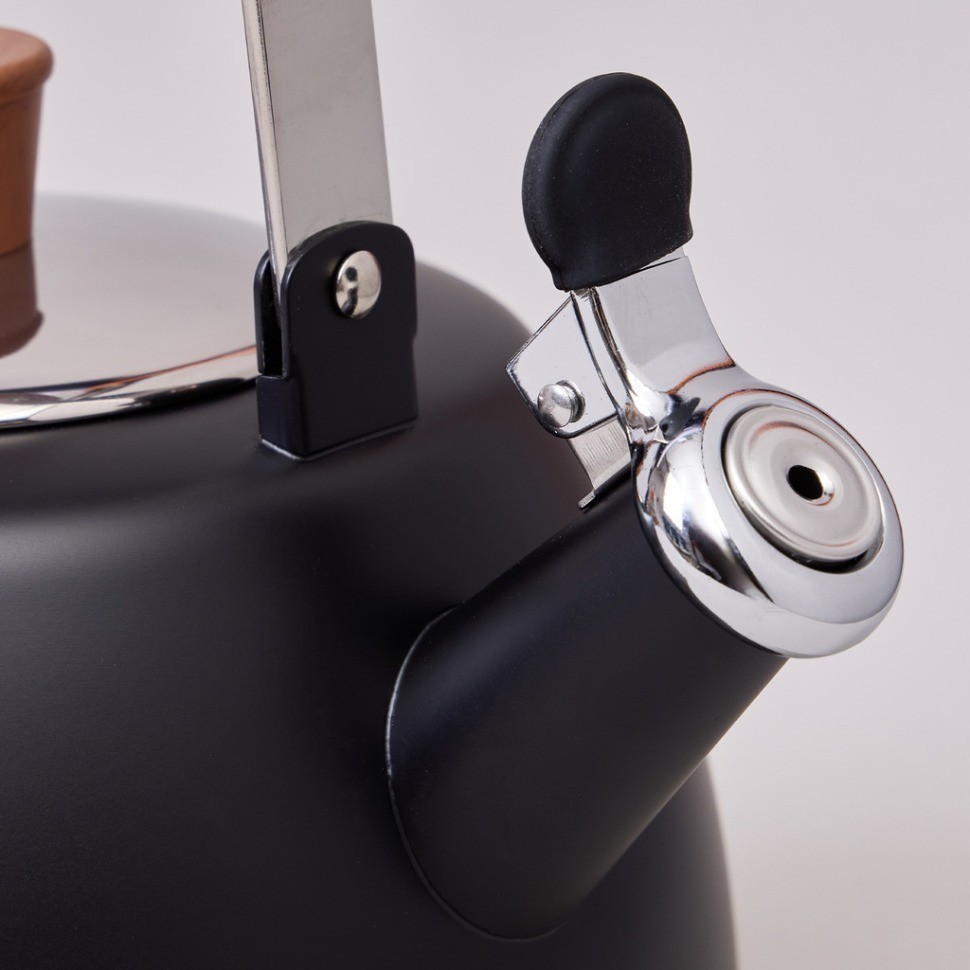 Чайник agness 3,0 л со свистком и складывающейся ручкой, индукционное капсульное дно (937-912)