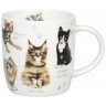 Кружка "Разнообразие природы" - Котята 11 7 275 2866