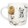 Кружка "Разнообразие природы" - Котята 11 7 275 2866