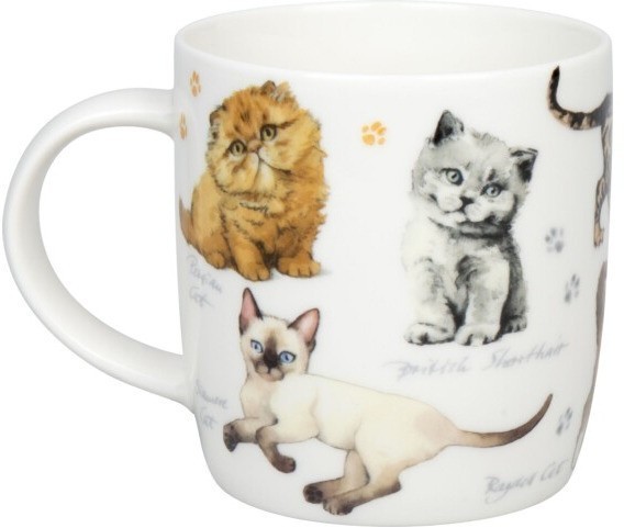 Кружка "Разнообразие природы" - Котята 11 7 275 2866