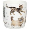 Кружка "Разнообразие природы" - Котята 11 7 275 2866