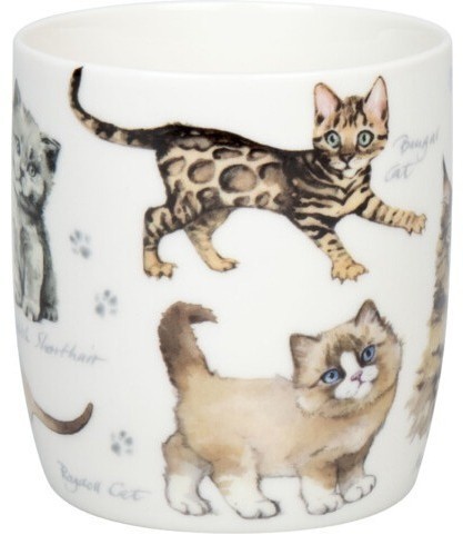 Кружка "Разнообразие природы" - Котята 11 7 275 2866