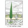 Карты Таро "Oracle of the Tress" US Games / Оракул Деревьев (46416)