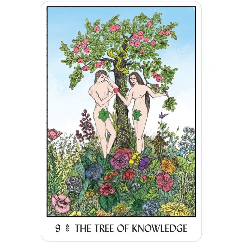 Карты Таро "Oracle of the Tress" US Games / Оракул Деревьев (46416)